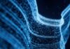 IBM invierte en las habilidades y experiencia del ecosistema para impulsar el crecimiento
